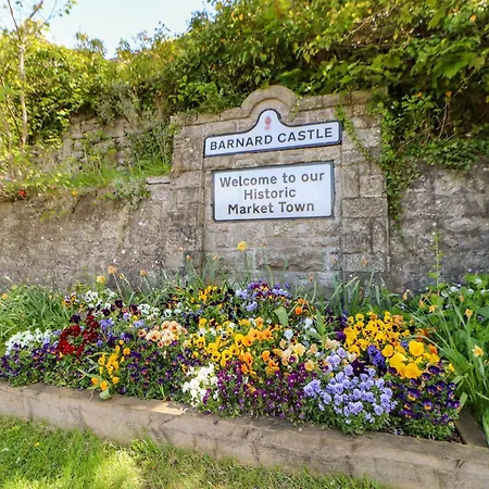 Elder * Richmond (North Yorkshire)