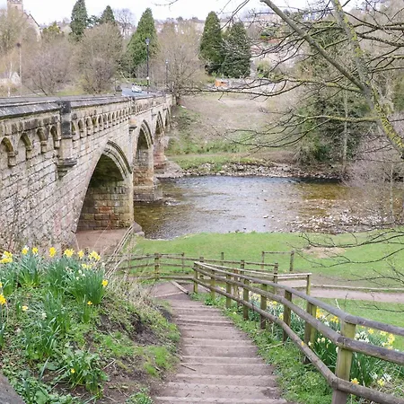 Elder * Richmond (North Yorkshire)